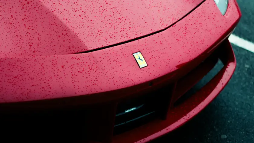 PPF AutoTrendz