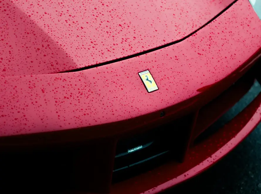 PPF AutoTrendz